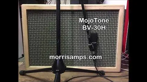 Celestion G12H30(anniversary) VS MojoTone BV-30H - Morris Perplex'd