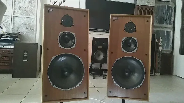 Celestion Rola Ditton 44 vintage system speakers from 77'+ Belgium tube amplifier 4xEl34 from 68'