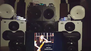 Big high efficiency system, active 22 channels. (8x 18" subwoofer, 8x 15" mid bass driver, horns...)