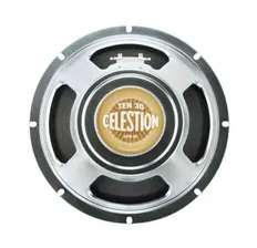 Celestion Ten 30 GR - 30