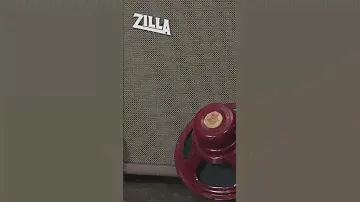 Can you mix Celestion AlNiCo Speakers?