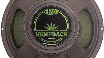 Hempback vs Vintage 30 vs EVH Shootout!