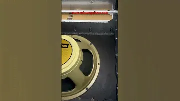 Loading cabs this am. All Celestion’s. #splawn #amplifier #celestion #celestionspeakers #speakers