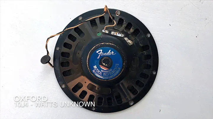 12 TEN INCH SPEAKERS TESTED IN A 1967 FENDER PRINCETON