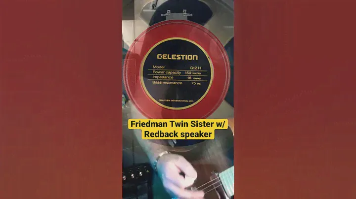 Friedman Twin Sister w/Celestion G12H 150 Redback