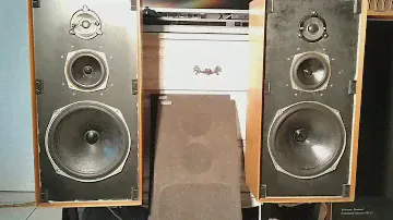 🎧Celestoon Rola Ditton 44 Hi  vintage speakers Sherwood S-9500 Hi end made in USA