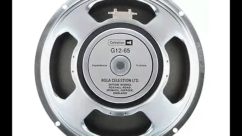 Can a Celestion G12-65 Speaker Get Tight Brutal Chugs?