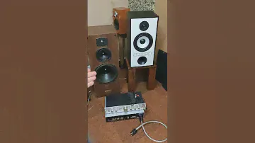 mission 770 vs celestion ditton 44 legend 😍 #mission770 #celestion